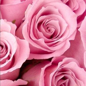 Meet your Posher, Alma